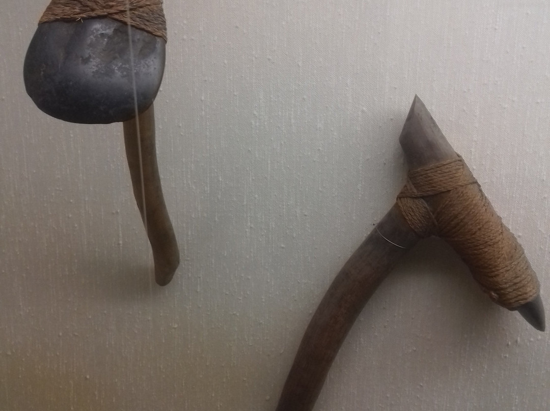 Musee de Nouvelle Caledonie-努美阿必去景点