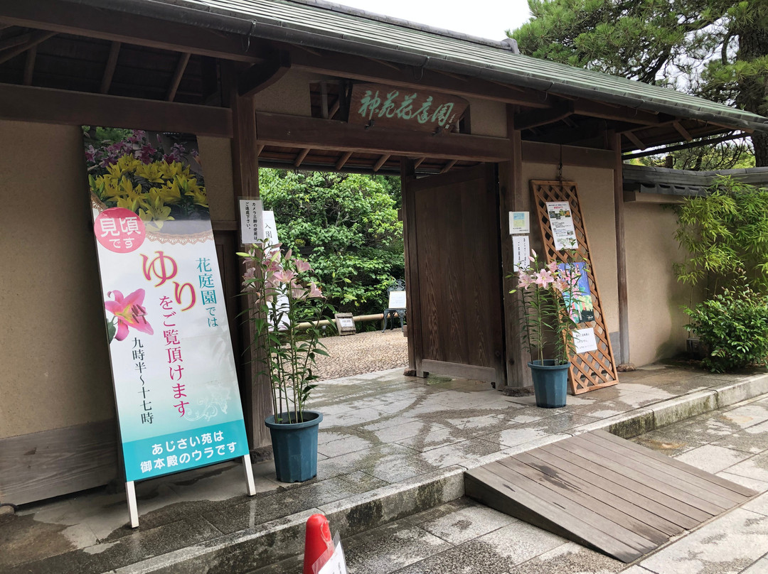 Hakozakigu Flower Garden-福冈市必去景点