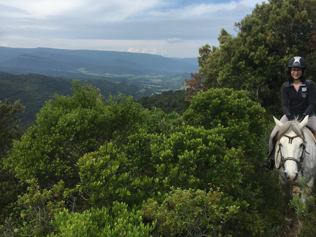 Ferme Equestre Le Plô