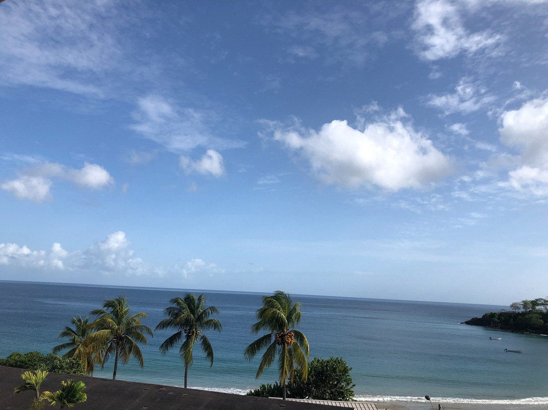 Grafton Beach Resort主图