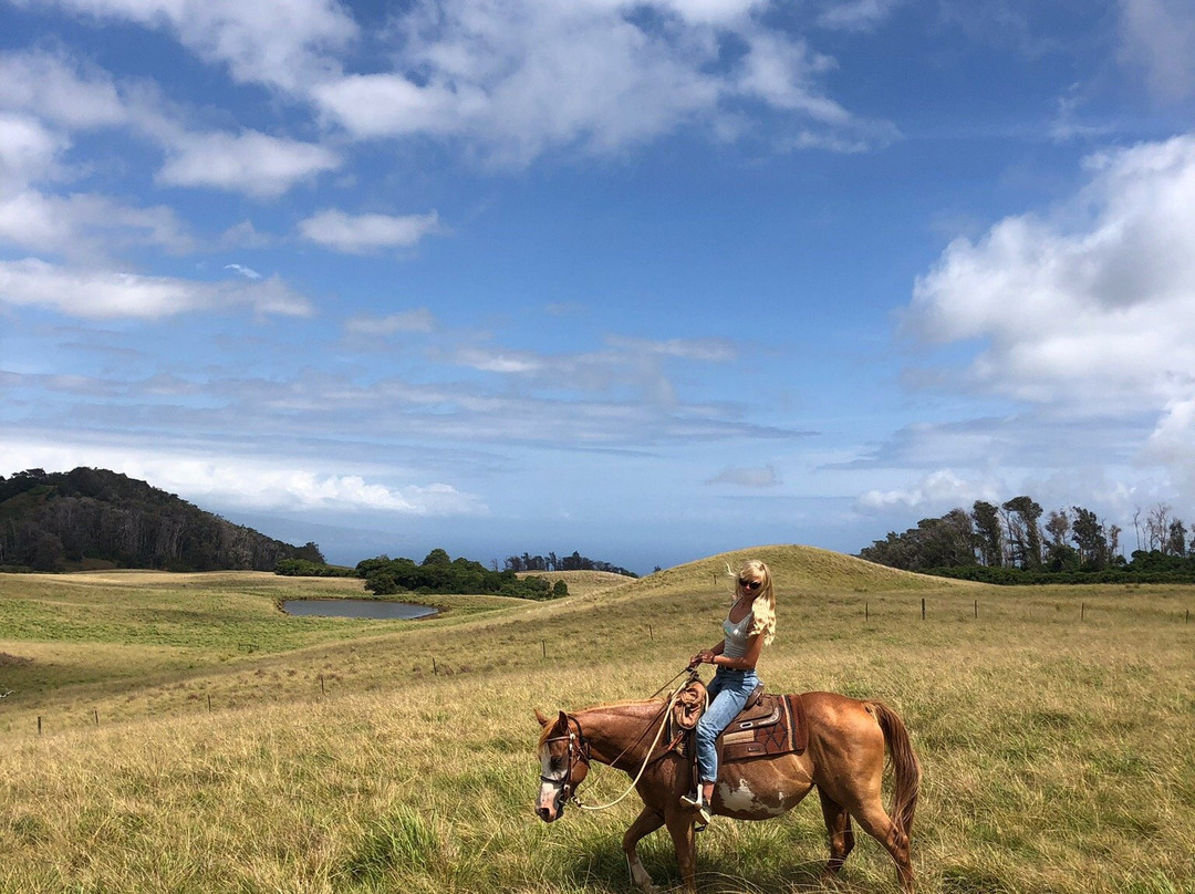 Piiholo Ranch Horseback-马卡瓦必去景点