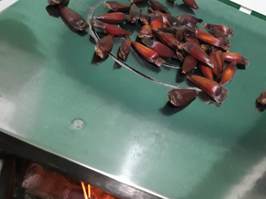 Pousada Vale Da Neblina主图