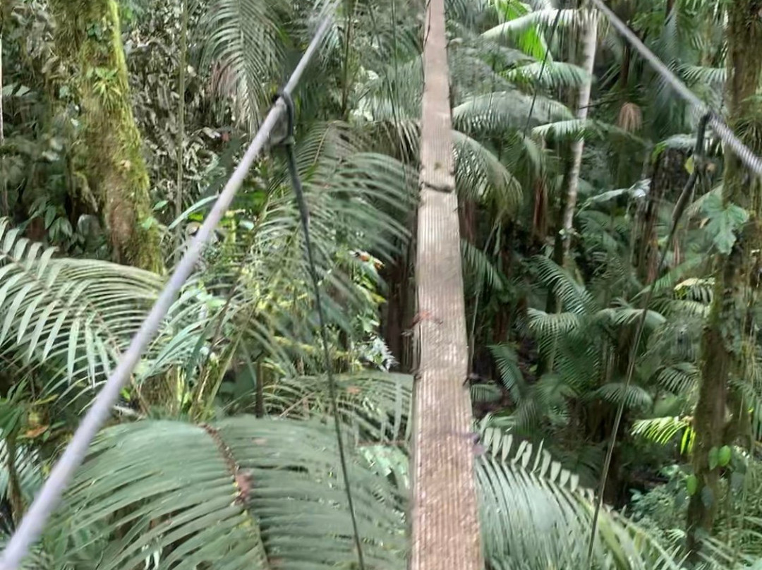 Tucanopy-Nanegalito必去景点