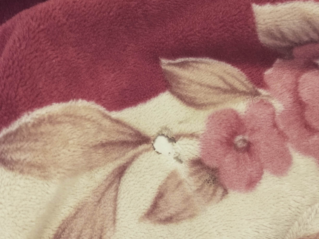 The Lake Land Country Club Residency主图