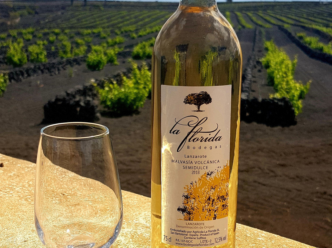 Bodegas La Florida-San Bartolome必去景点