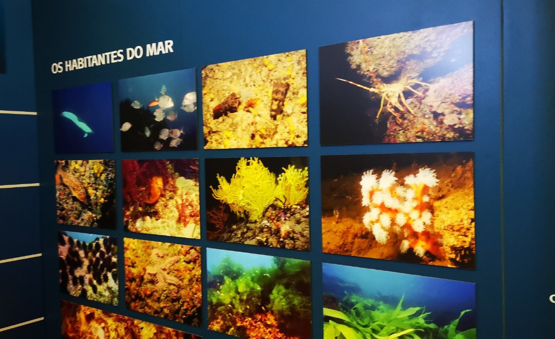 Museu do Mar e da Terra da Carrapateira景点图片