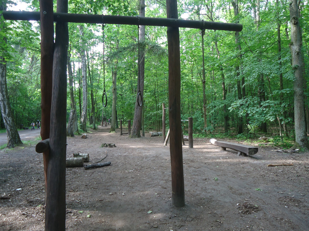 Kabacki Forest-华沙必去景点