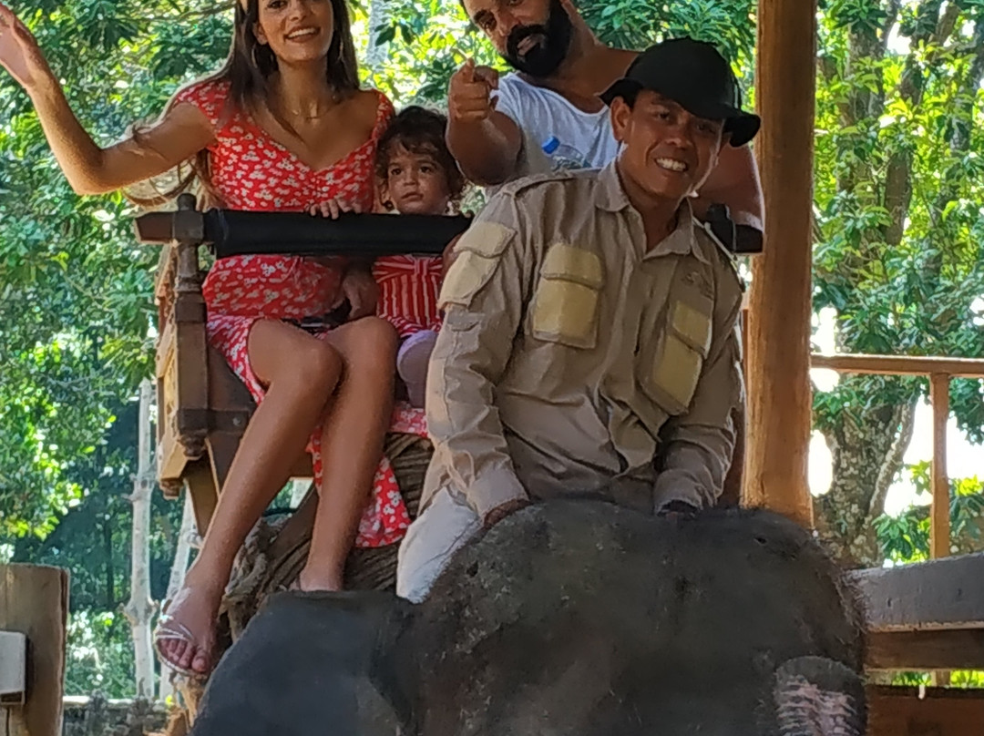 Epo Bali Driver-登巴萨必去景点