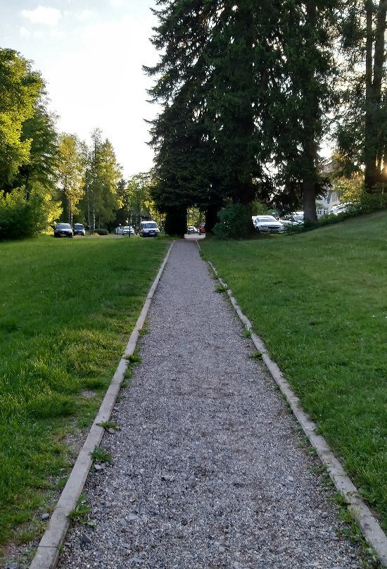 Schwarzwald Parkhotel主图