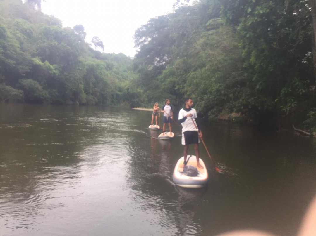 Bad Monkey-帕洛米诺必去景点