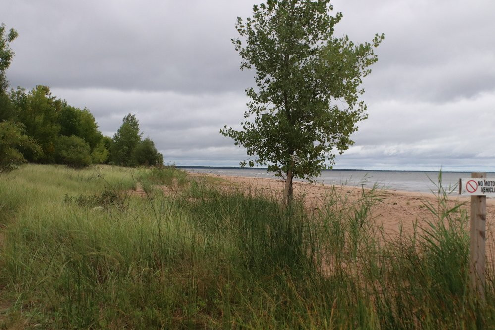 Lake Michigan Shoreline景点图片