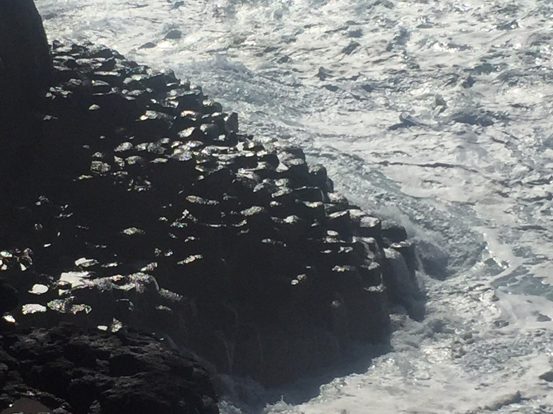 Fingal Head Lighthouse景点图片