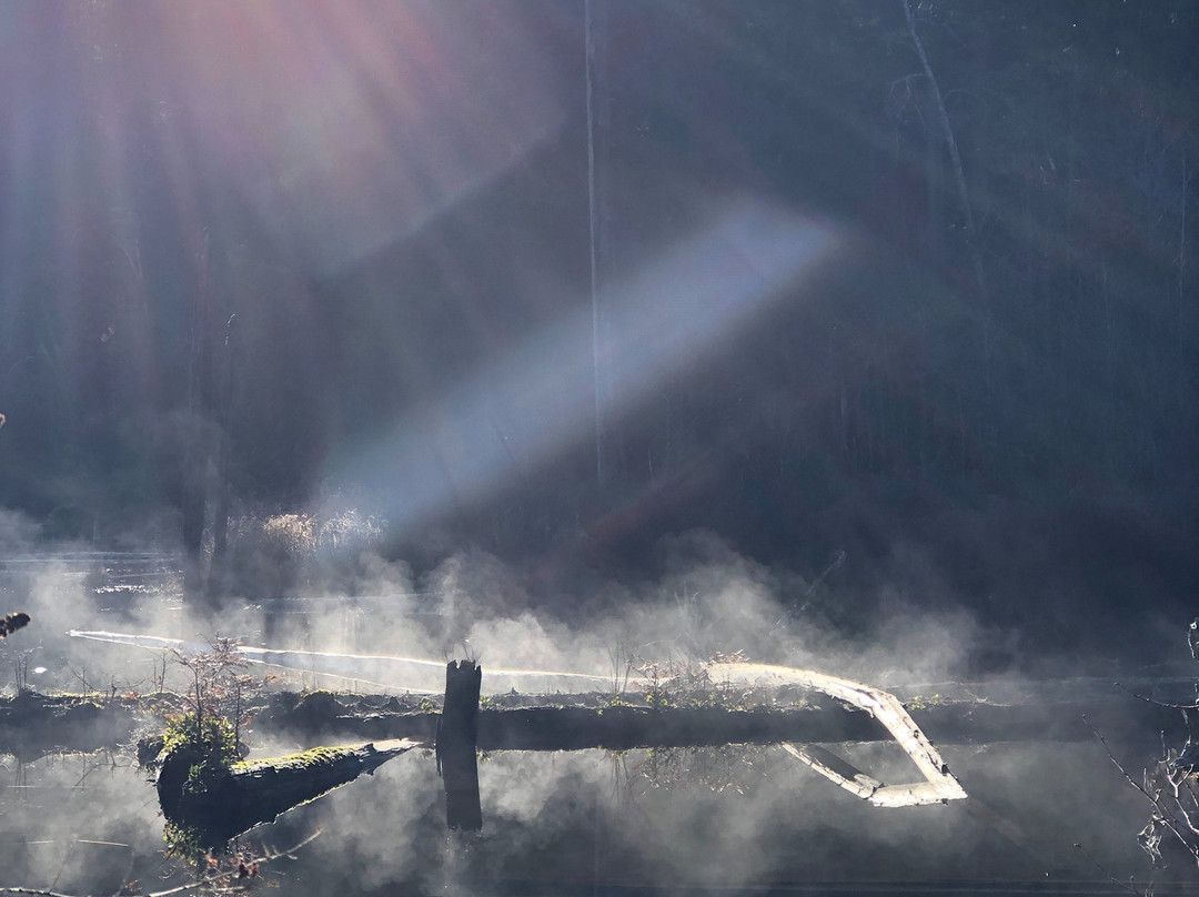 Westwood Lake Park景点图片