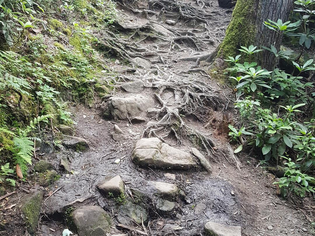 Hen Wallow Water Falls-大雾山国家公园必去景点