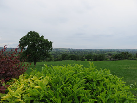舍本阿姆斯酒店主图