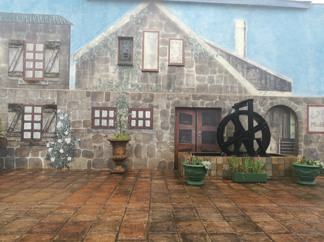 Magoebaskloof Hotel主图