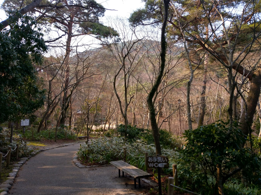 Zuihoji Park景点图片