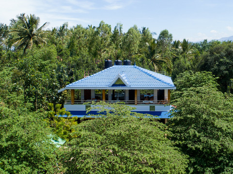 The Midway Jungle Resort