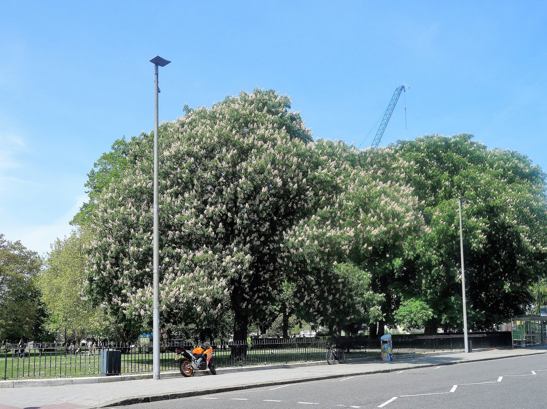 St James Park景点图片