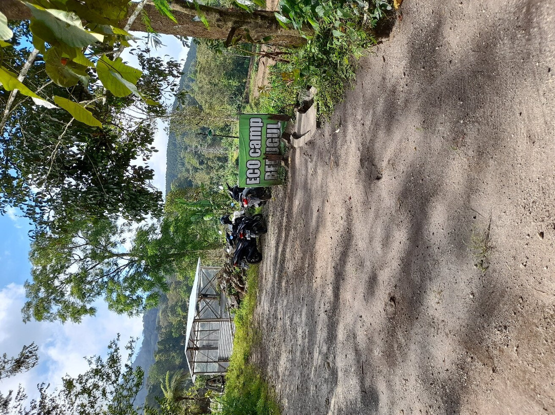 百度库生态露营旅馆