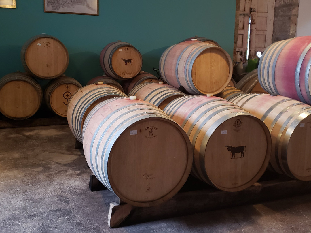 Quinta de Tourais主图