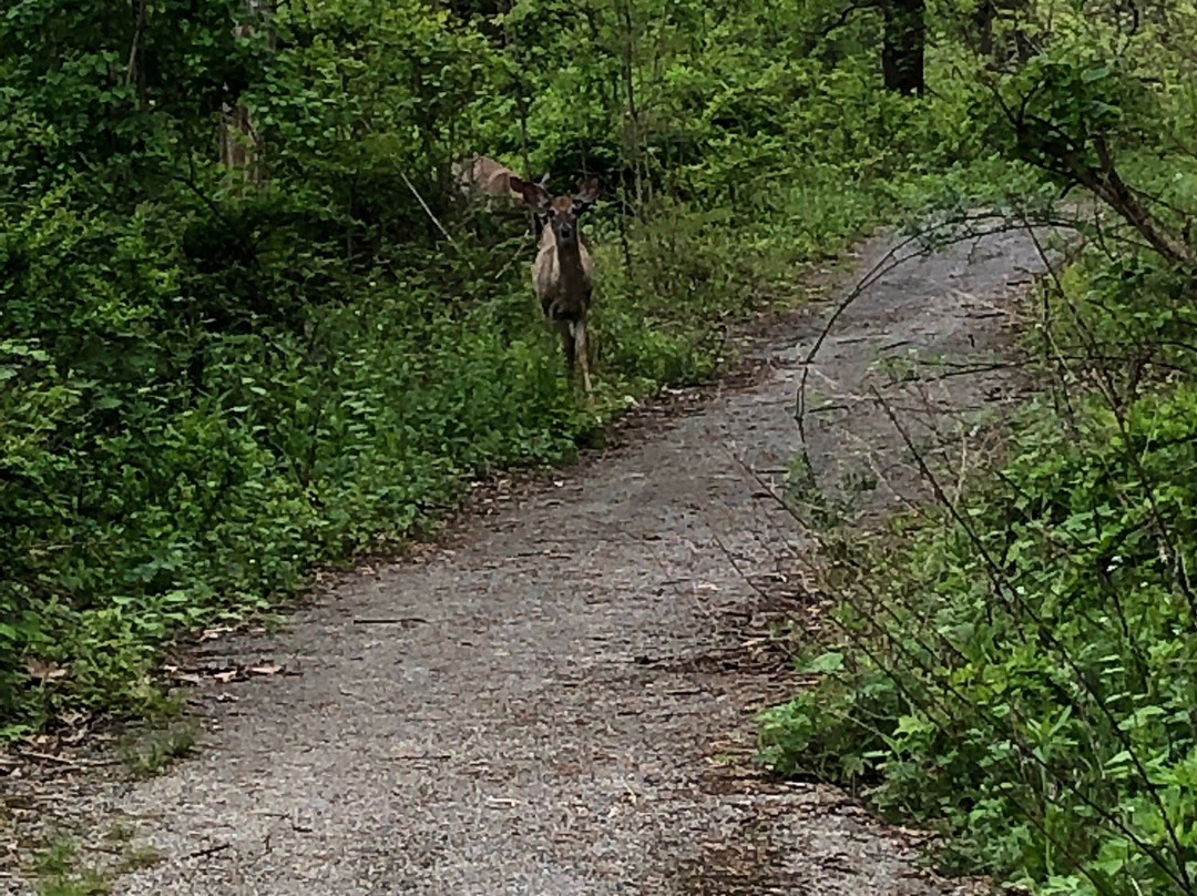 Doodletown-Stony Point必去景点