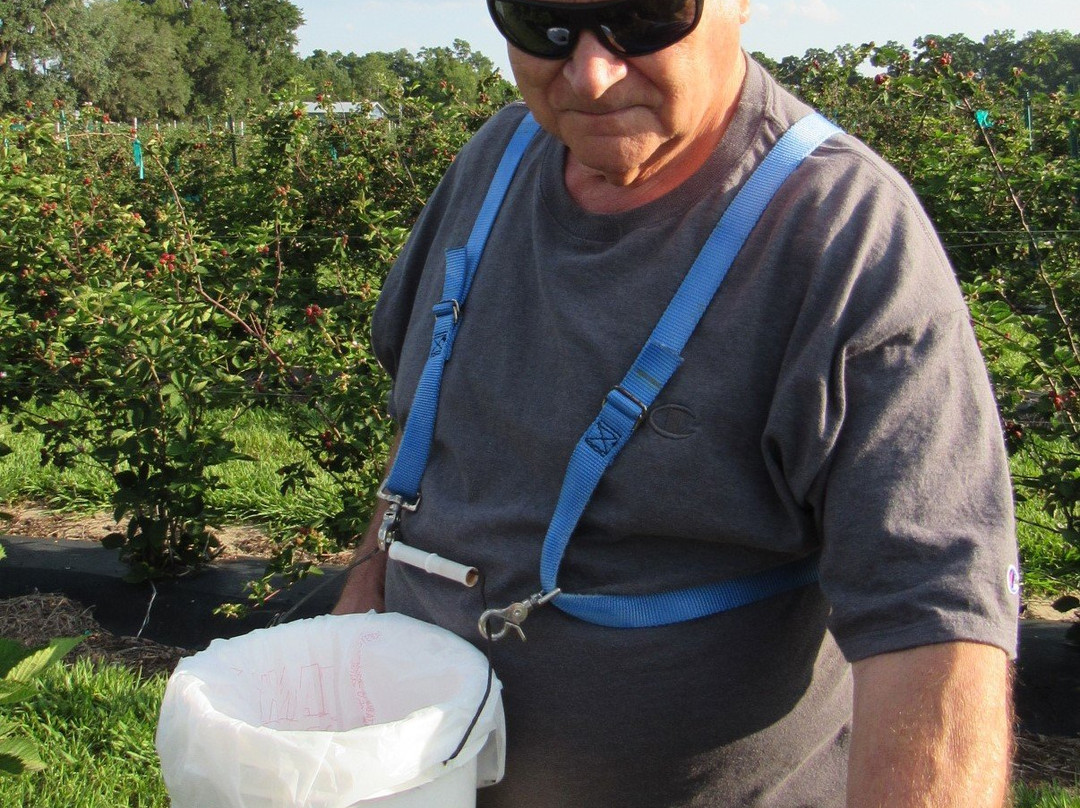 Back Road Berries-Oxford必去景点
