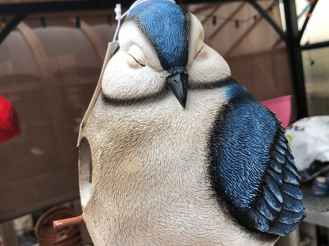 Red Shed Garden & Gifts-巴拉布必去景点