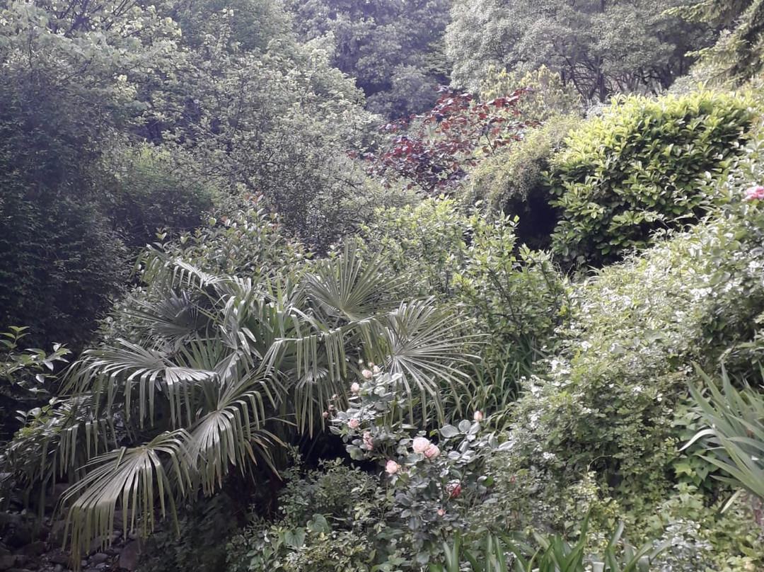 Il Giardino della Valle-切尔诺比奥必去景点