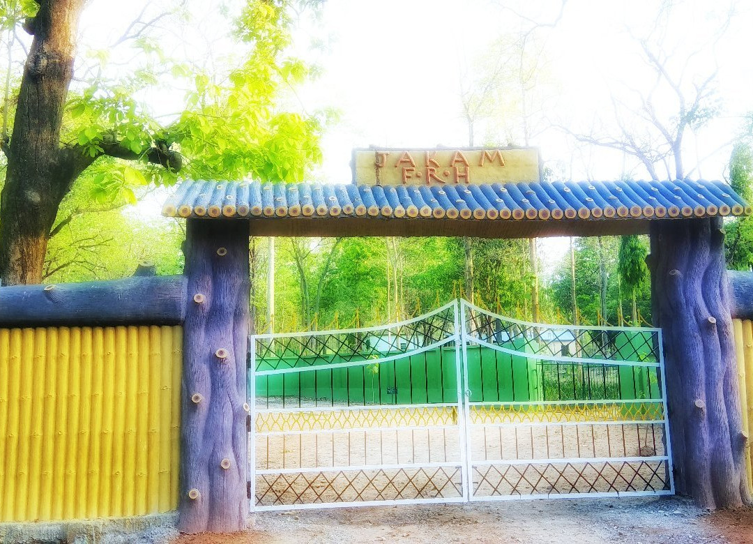 Phurli Jharan Falls景点图片