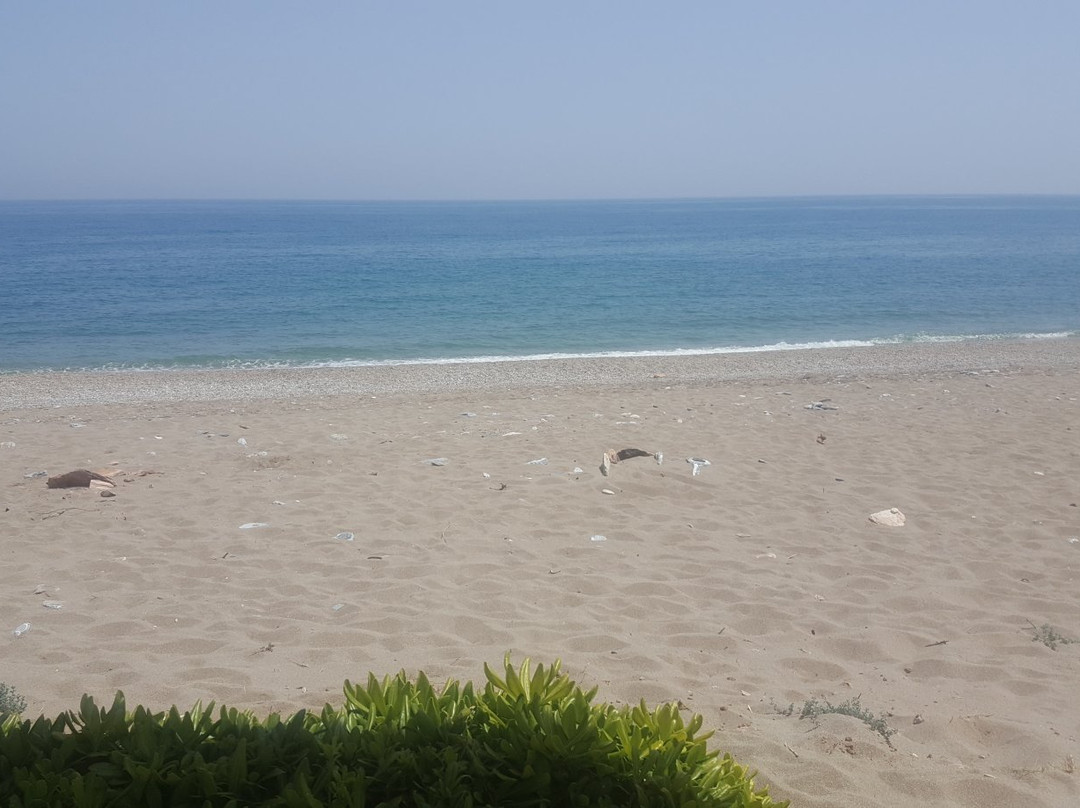 MayaLuna Ecolodge- Restaurants主图