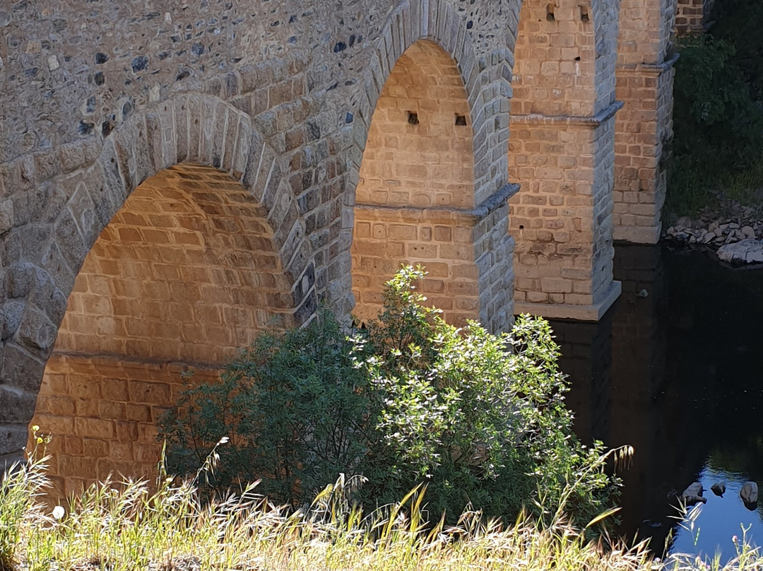 Ponte de Segura景点图片