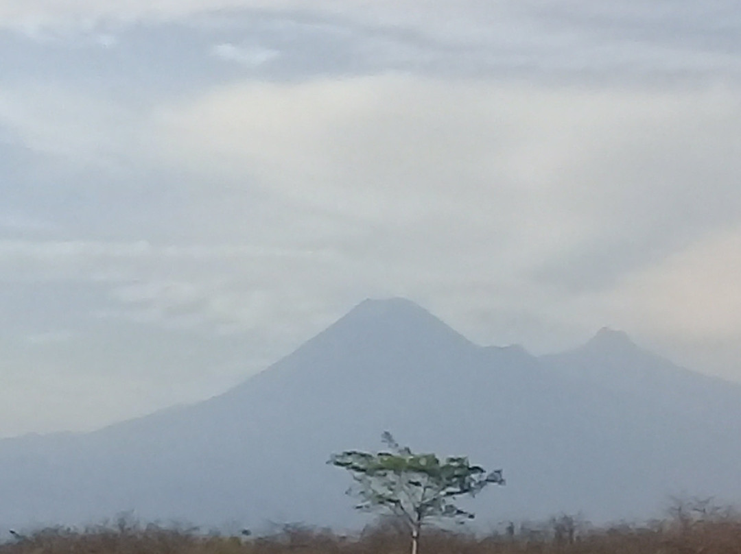 Volcan de Fuego景点图片