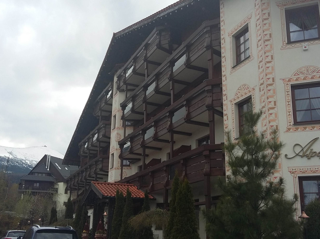 Alpejski Hotel主图