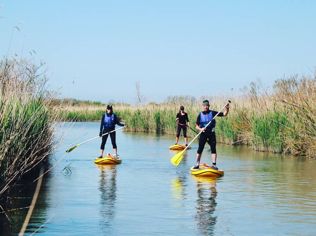 ADVENTURES 360° "Delta del Po"景点图片