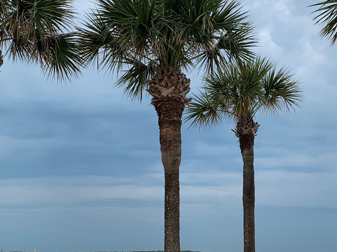 Pass-a-Grille Beach, Florida景点图片