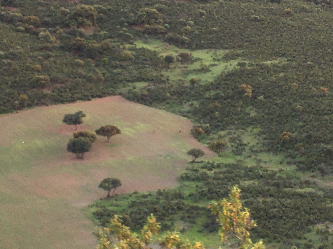 Finca Monton de Trigo主图