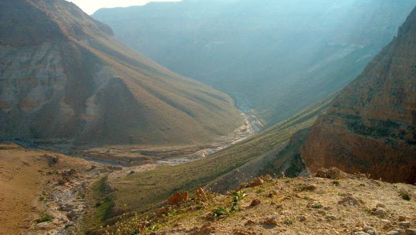 Tze'elim Stream-死海地区必去景点