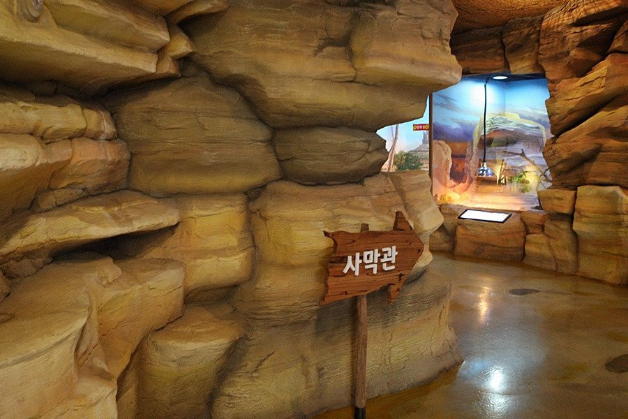 Hampyeong Herptile Eco Park-咸平郡必去景点