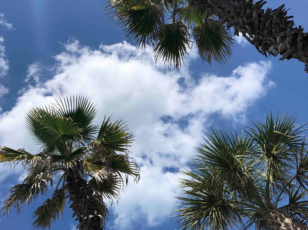 Gulfside Resorts主图