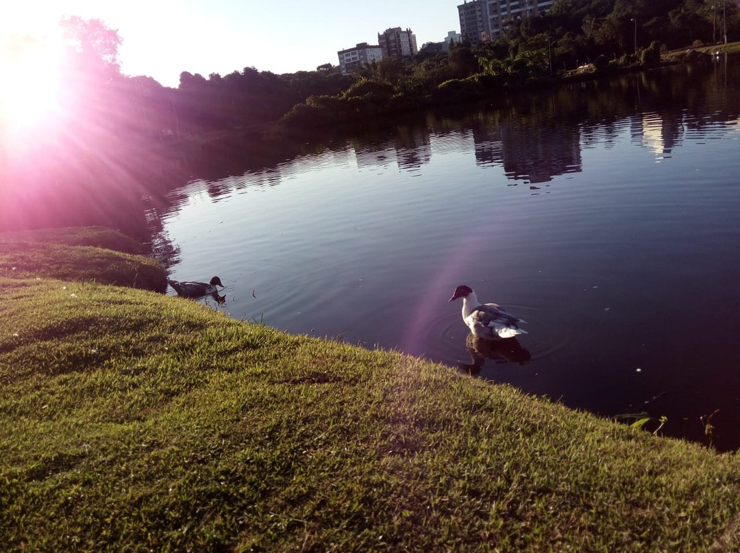 Parque Professor Theobaldo Dick-Lajeado必去景点