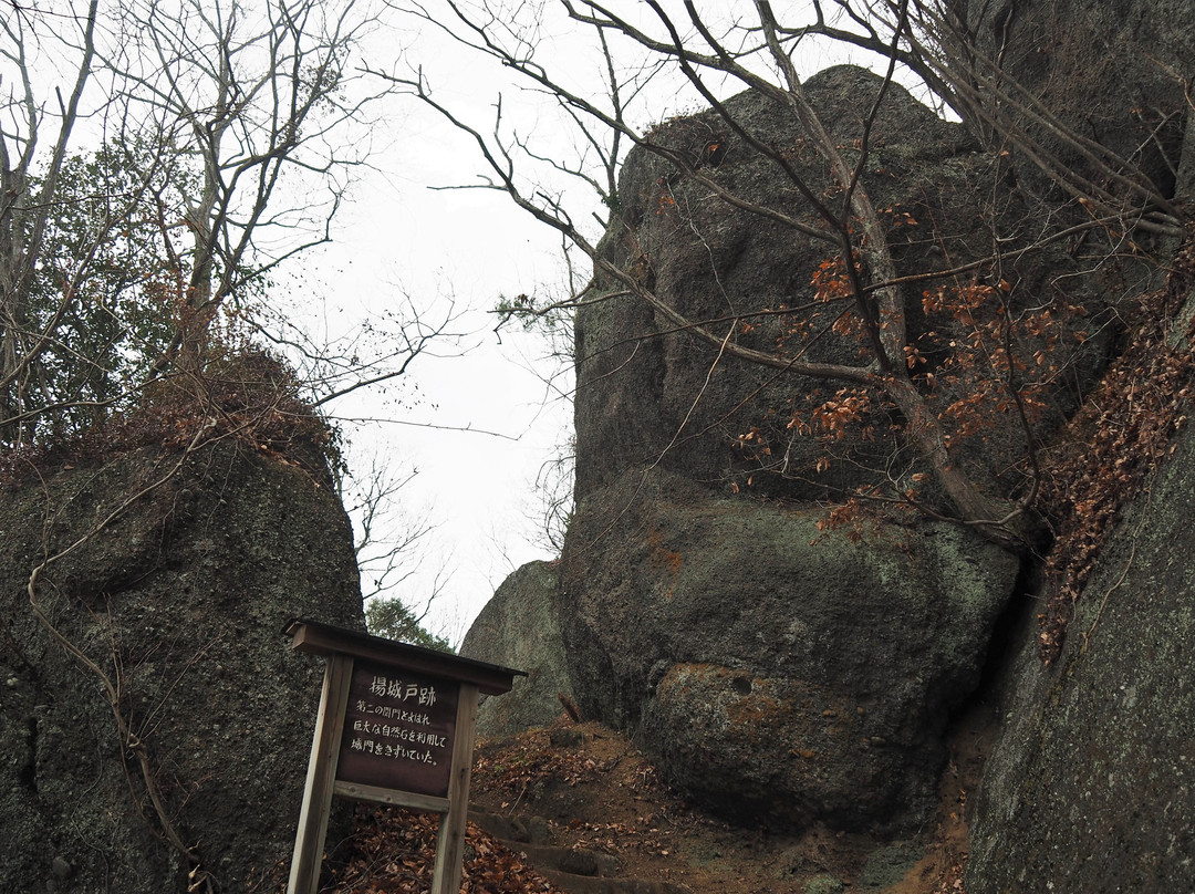 The Site of Iwatono Castle景点图片