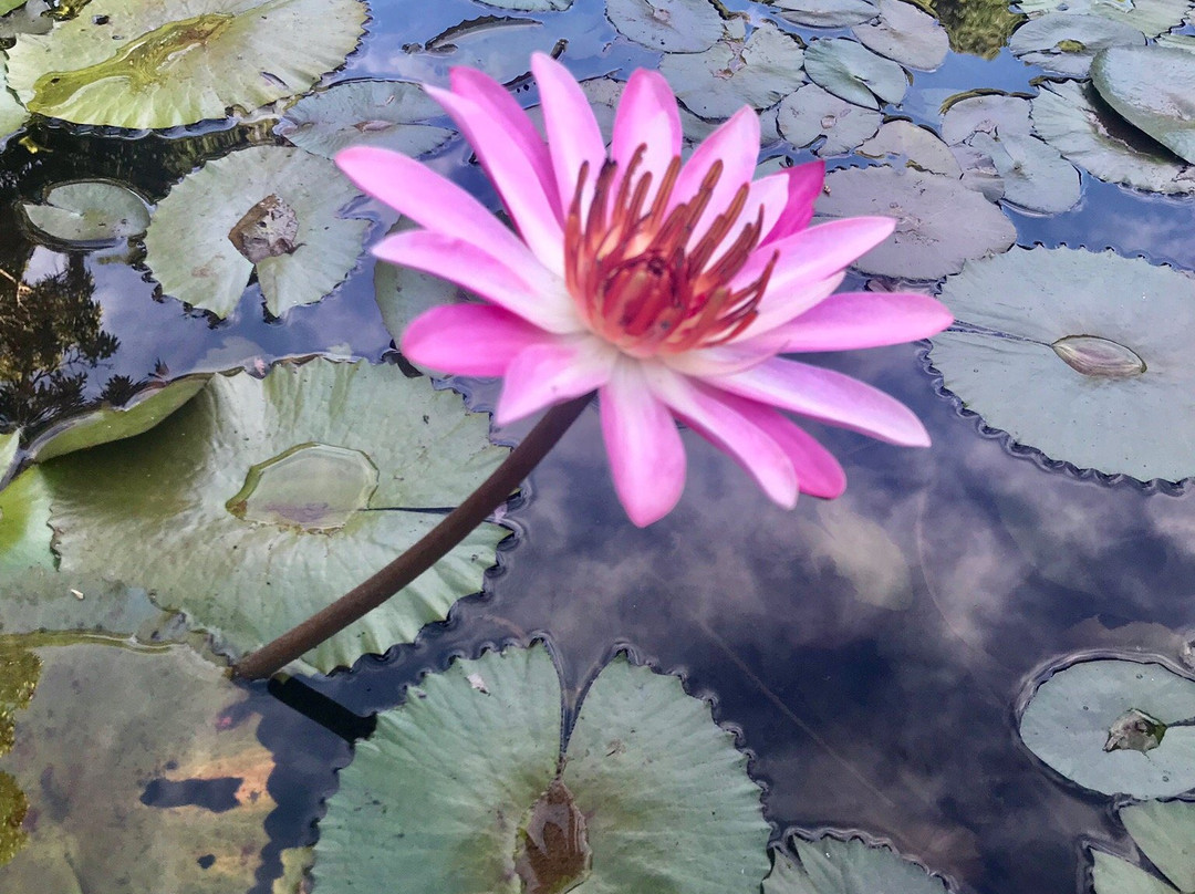 Pousada Santa Branca主图