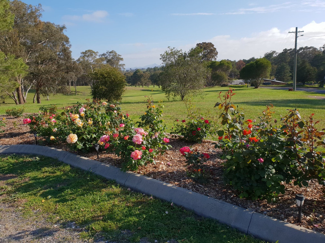 Kandos Fairways Motel主图