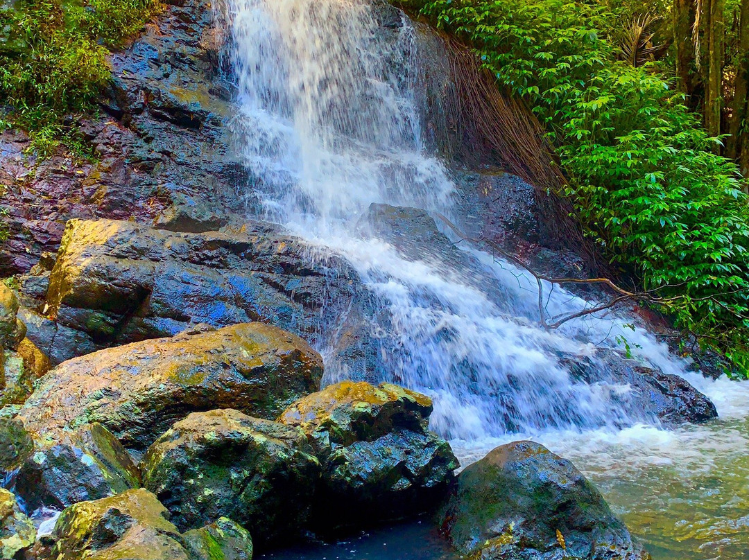 Kondalilla National Park景点图片