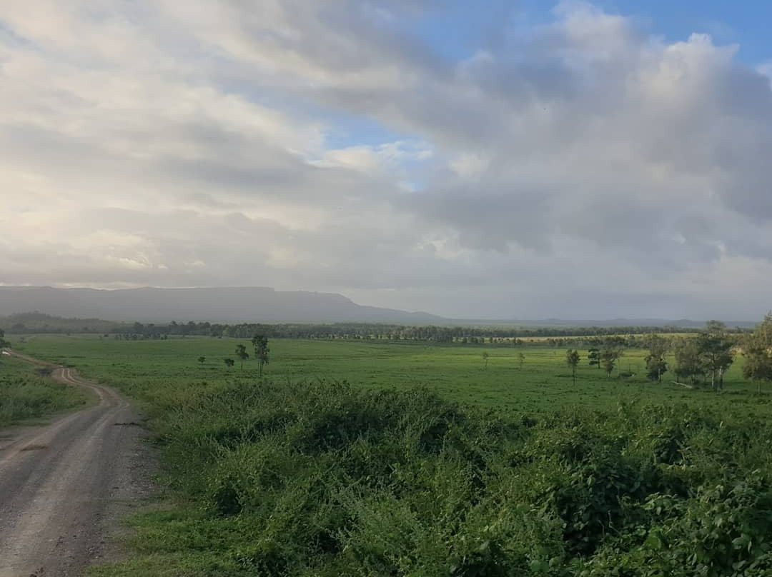 Mount Webb National Park-Cook Shire必去景点