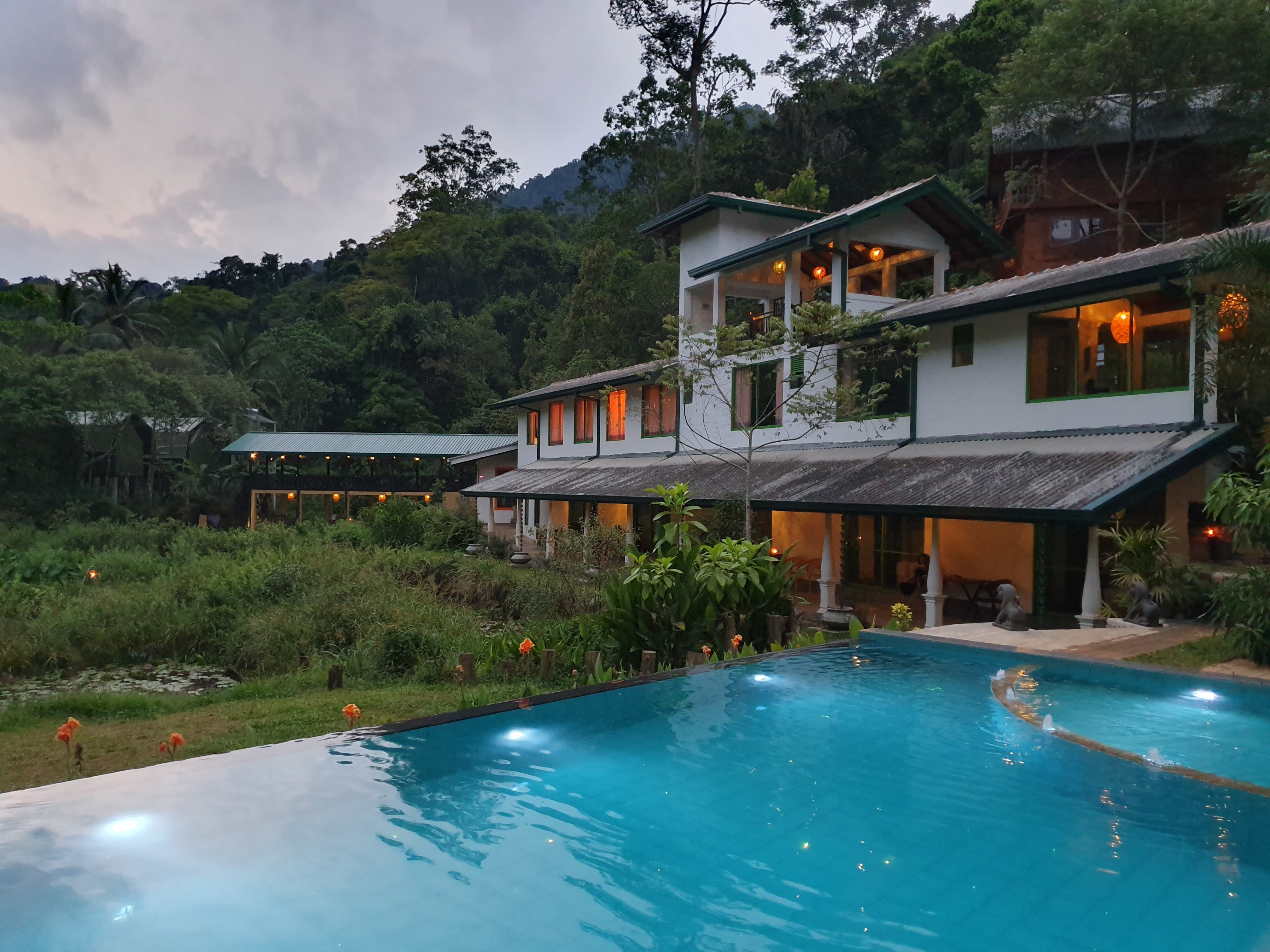 Sinharaja Forest Edge-官方