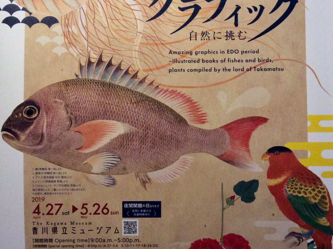 Kagawa Museum景点图片