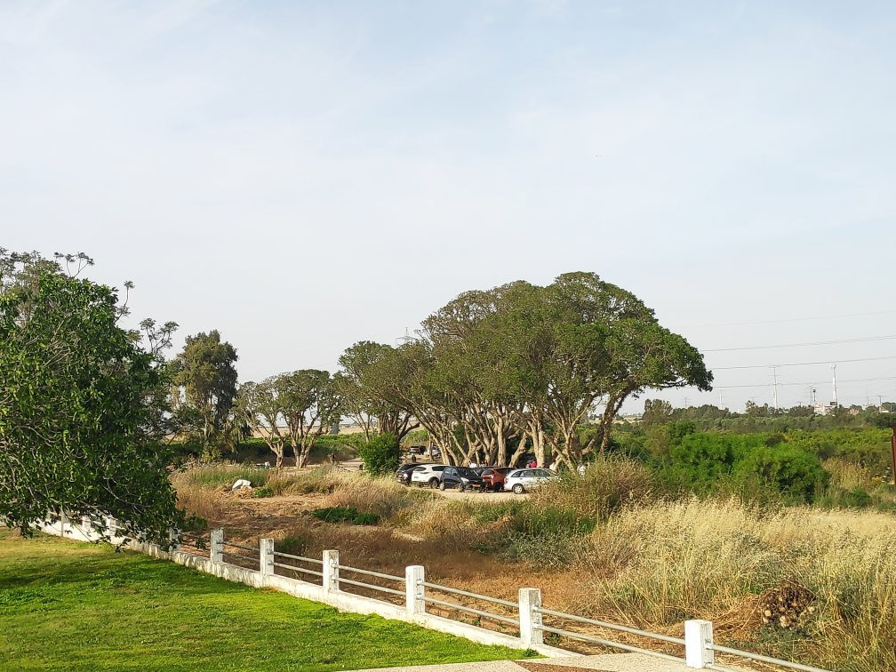 Big Fashion Mall Ashdod-阿什杜德必去景点