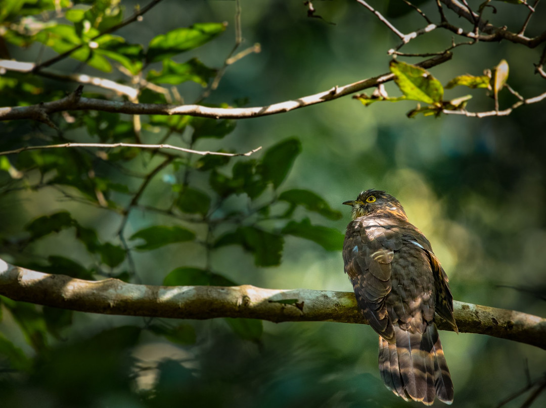 Old Magazine House主图